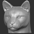 2.jpg Cougar / Mountain Lion head for 3D printing