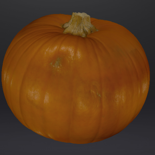 Pumpkin 3D Scan Model Textured 3D model