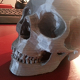 Capture d’écran 2017-07-26 à 11.30.54.png Free STL file Human Skull・3D print model to download