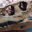Indoraptor-skull-model-3d-print-27.jpg Indoraptor skull 3d print 30cm
