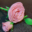 IMG_04.png Rose | 3D Printable Rose ©