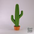 2arm_KaziToad.stl.jpg Mini Cactus set