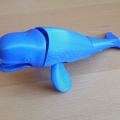 Складной кит Белуха