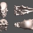vue-crâne.jpg Pachycephalosaurus 3D skull