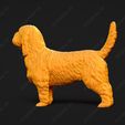 1027-Basset_Griffon_Vendeen_Petit_Pose_03.jpg Basset Griffon Vendeen Petit Dog 3D Print Model Pose 03