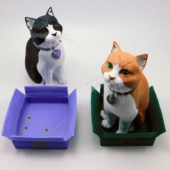 cats_and_boxes.jpg Schrodinky: British Shorthair Cat in a Box – 3D Printable, Multi Part Model - MULTI EXTRUSION PACKAGE