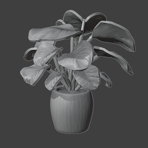 Potted Plants 1 3D model