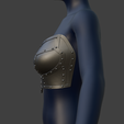 Screenshot-2026-04-29-014301.png Laced Steel Breast Plates