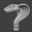 Screenshot-2025-08-14-125242.png Snake Staff Top