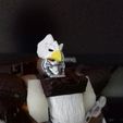 20230304_134541.jpg WFC Airazor pecho