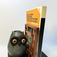 IMG_2980.jpeg Owl Book Holder