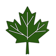 leaf.png Feuille