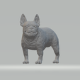 1.png Pug Dog 3D print model