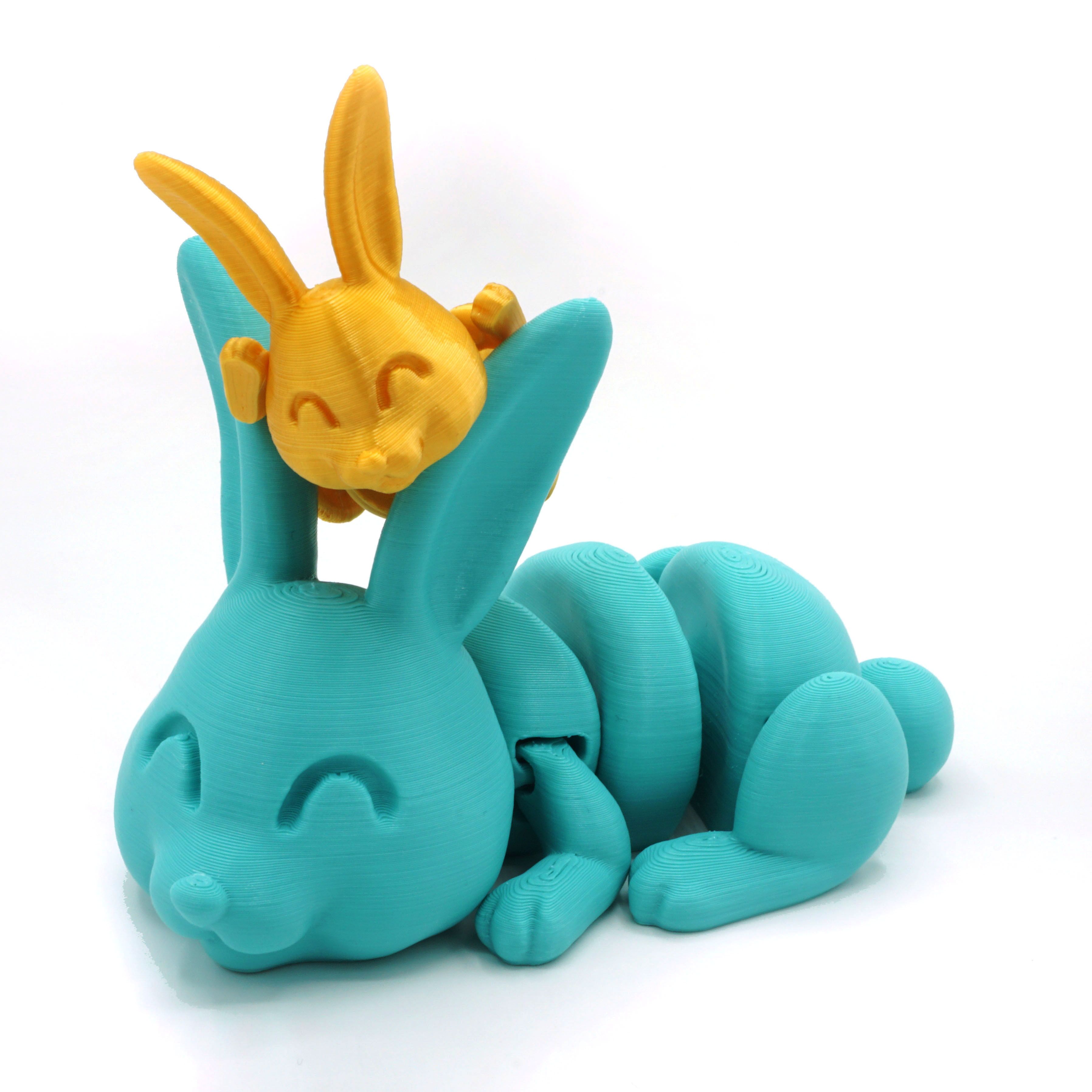DSC01353 copia.jpg Download STL file Articulated Bunny • 3D printable model, mcgybeer