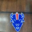 IMG20231014120901.jpg Alternate Buffalo Bills Logo/Pendant