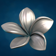 Plmr1-09.png Flor de plumeria