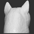 8.jpg Doge meme Shiba Inu head for 3D printing
