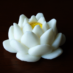 Capture_d_e_cran_2016-03-29_a__09.57.47.png Fichier STL gratuit lotus flower・Modèle à télécharger et à imprimer en 3D