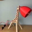 IMG-20230903-WA0023.jpg Giraffe lamp