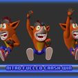 3.jpg Crash Team Racing Nitro Fueled based Crash Bandicoot 3D print model