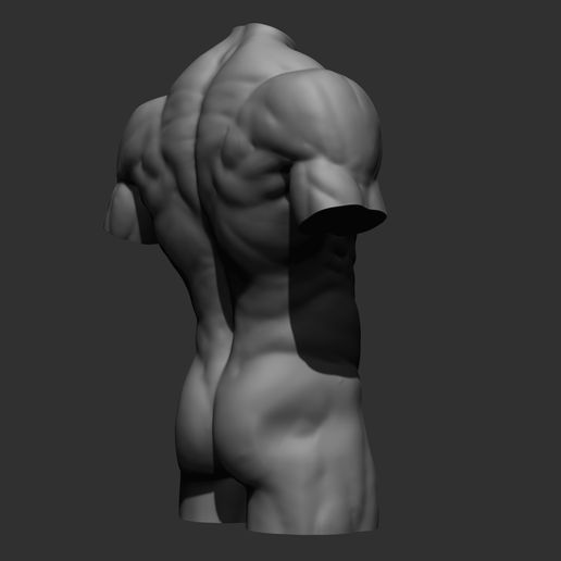 17.jpg Archivo 3D 4 Torsos masculinos・Modelo para descargar e imprimir en 3D, Daniartist