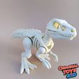 8.jpg Velociraptor Skeleton Articulated/Flexi