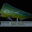mahi-mahi-mouth-statue-18.png fish mahi mahi / common dolphin fish open mouth statue detailed texture for 3d printing