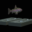 Am-bait-trout-breaking-16cm-5mm-oci-13mm-nalev-9.png AM bait fish rainbow trout 16cm breaking model / form for predator fishing