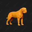 3007-Bullmastiff_Pose_01.jpg Bullmastiff Dog 3D Print Model Pose 01