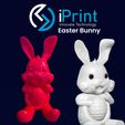 Bazaart_20240224_100156_632.jpeg Hungry Easter Bunny | Fast Print - Detailed