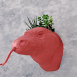 comodo-dragon-wall-planter-1.png Comodo dragon head wall mount planter flower pot vase STL 3d print file