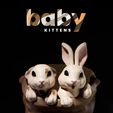 FEED-21.jpg Easter Bunny Baskets - Baby Kitten