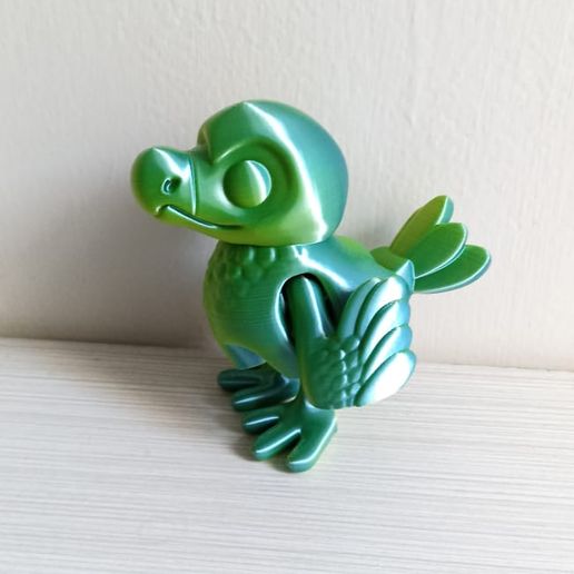 WhatsApp-Image-2023-06-15-at-8.11.27-AM.jpeg Little Flexi Dodo