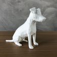 IMG-20240506-WA0021.jpg Jack Russell Low Poly