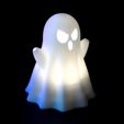 IMG_1785.jpg Scary Ghost Lamp - Halloween Decoration