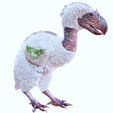 V6.jpg DOWNLOAD DINOSAUR DINOSAUR Terror DOWNLOAD Bird 3D MODEL Terror Bird Terror Bird ANIMATED - BLENDER - 3DS MAX - CINEMA 4D - FBX - MAYA - UNITY - UNREAL - OBJ - Terror Bird RAPTOR DINOSAUR RAPTOR DINOSAUR DINOSAUR 3D Terror Bird