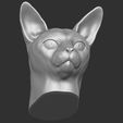 17.jpg Abyssinian cat head for 3D printing