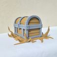 20250409_091427.jpg PIRATE CHEST WITH TENTACLES