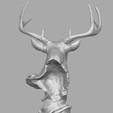 deer_13.png Deer head skulpture