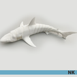 GREAT_WHITE_NK_02.png FLEXI ARTICULATED SHARKS