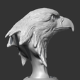 08.png Bald Eagle Head AM07 3D print model