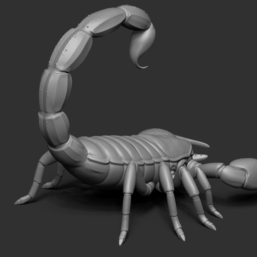 13.png Scorpion
