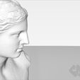 20131227VenusDeMiloRender_CosmoWenma_display_large.jpg Venus de Milo
