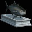 Greater-Amberjack-statue-9.png fish greater amberjack / Seriola dumerili statue detailed texture for 3d printing