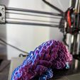 Flexi Pangolin
