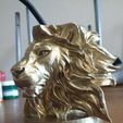 WhatsApp-Image-2023-02-12-at-12.06.28.jpeg LION HEAD 3D STL LION HEAD MATTE