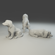 5.png Low polygon retriever 3D print model  in three poses