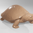 turtle1.png Low poly animal turtle