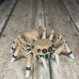 IMG_3030.jpg STL file Articulated Jumping Spider _ Print-In-Place Jumping Spider・3D printing design to download