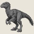 Snow-Raptor-Dinosaur-01.jpg Snow Raptor Dinosaur